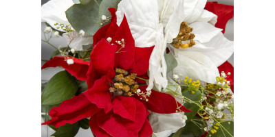 Цветочная композиция на новый год. Советы по выбору и оформлению