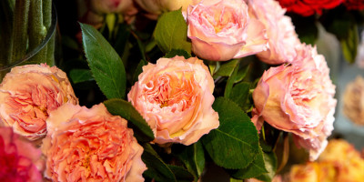 Как выбрать идеальный букет из роз для разных событий?